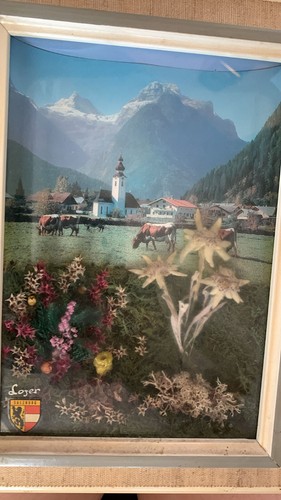 Altes loger salzburg 3dbild - altes,