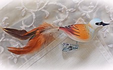 ❀ Neuntöter Glasvogel