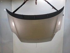 Motorhaube - Fiat PUNTO EVO