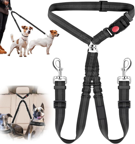 Anschnallgurt hund auto in - hund,