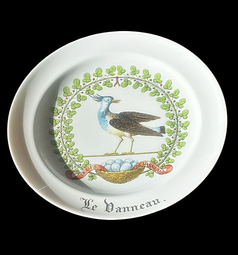 Speiseteller vanneau 24 - ,