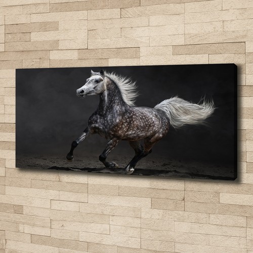 Leinwandbild kunst druck - leinwandbild, kunst-druck