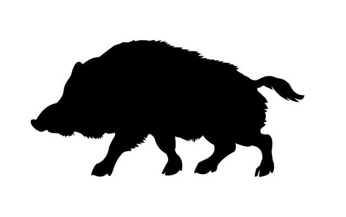 Aufkleber wildschwein keiler - aufkleber,