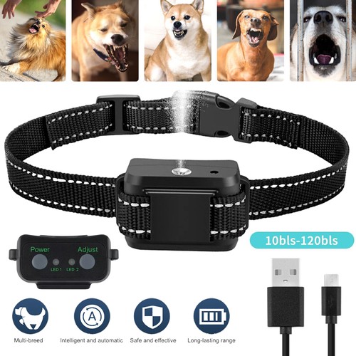 Anti bell halsband - halsband, hunde