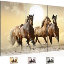 Wandbilder Wohnzimmer XXL