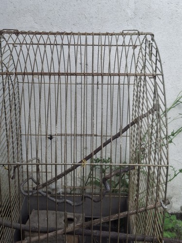 Vogelkäfig metall mit - metall,