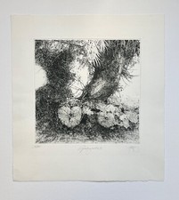 Original Radierung Landschaft Natur Grünbergvariation Walter Herzog s/w