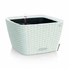 Lechuza Bacino Cottage 30