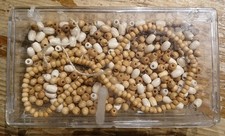 Graupner Perlen Konvolut Mega