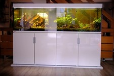 EHEIM 630l Aquarium mit