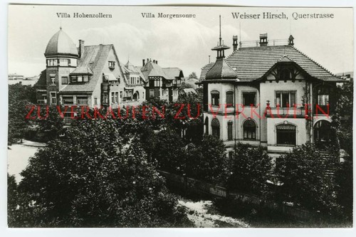 Dresden weißer hirsch - weißer,