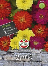 Zinnia Sperli's Zauberball