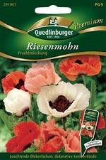 Türkischer Mohn Prachtmischung Samen von Quedlinburger Saatgut