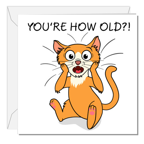 Lustige karte katze 50 - lustige,