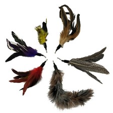 6 Pcs Kitten Teaser Cat Toy