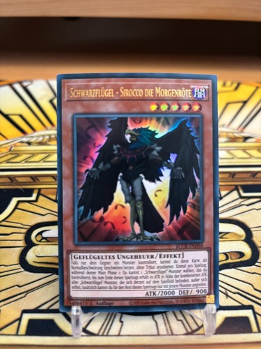 Yugioh schwarzflügel - yugioh,