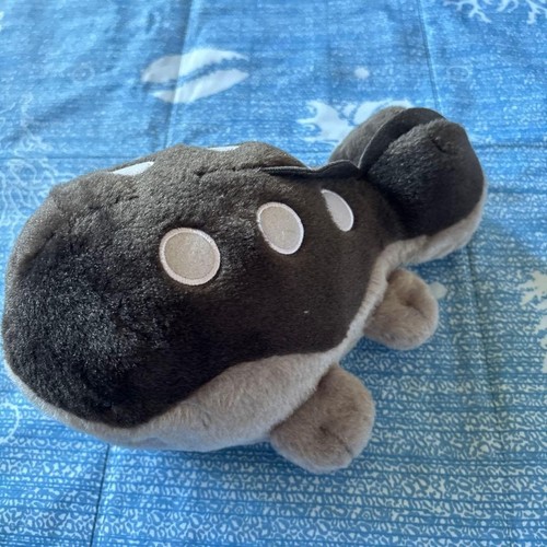 Pokemon clodsire pokedoll - pokemon,