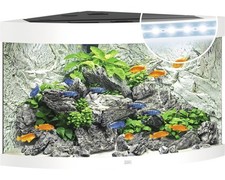 Aquarium JUWEL Trigon 190 mit LED-Beleuchtung, Filter, Heizer ohne Unterschrank 