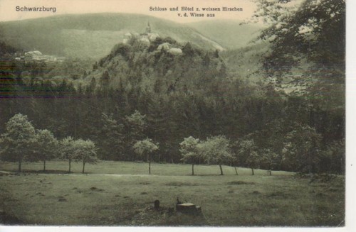 Schwarzburg blick auf - blick, schloss