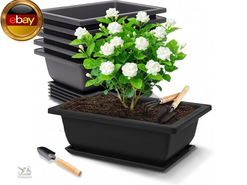 Stück bonsai schale - stück,