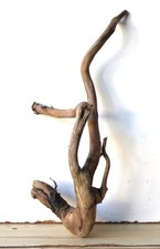 Treibholz Schwemmholz