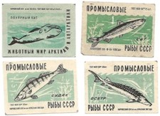 107/674 STREICHHOLZ ETIKETTEN - TIERE WASSER FISCH ZANDER STÖR