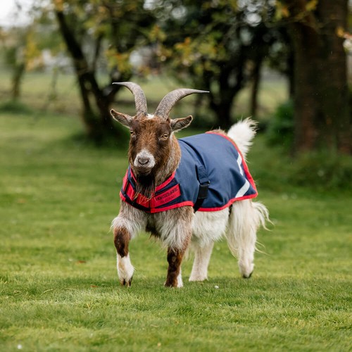 Horseware goat coat - goat,
