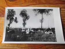 WASSERLACKEN IN OSTPREUSSEN POSTKARTE MIT FOTO KÜHE AUF DER WEIDE