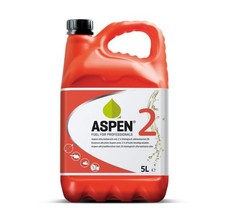 ASPEN 2 Takt Gemisch 5,0 Liter