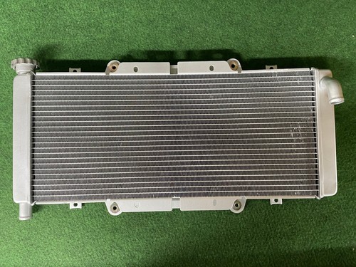 Original quadzilla rl500 buggy - original,