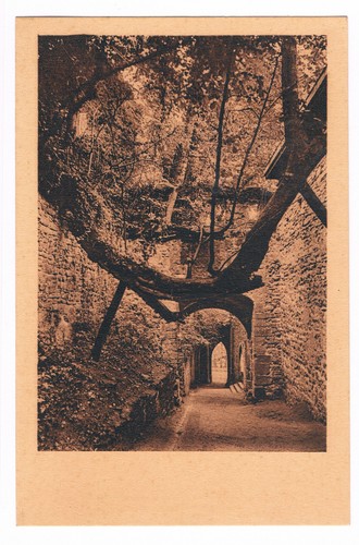 Baden altes schloss - altes,