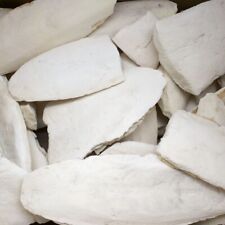 Sepiaschalen 1kg | Große