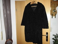  Ein sehr schöner Persianer