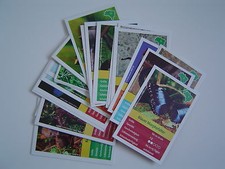 EDEKA - entdecke Brasilien -