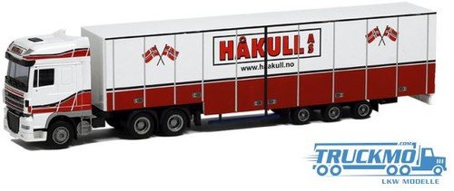 Awm hakull daf 105 - awm, xf