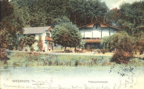 Wiesbaden fischzucht anlage - fischzucht,