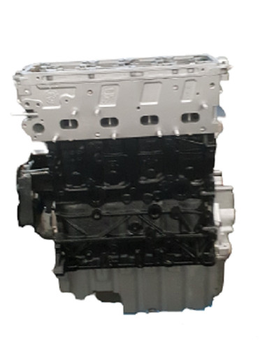 Motor tdi daua überholt - motor,