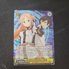 Asuna & Kirito, Combined