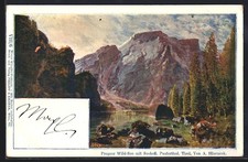 Künstler-AK Anton Hlavacek