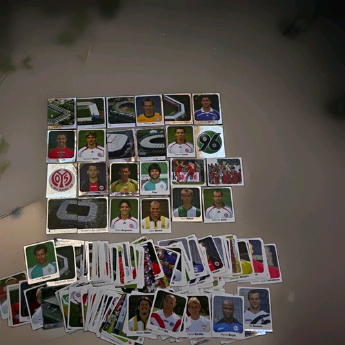 Panini bundesliga 2006 2007 - bundesliga, 2006/2007