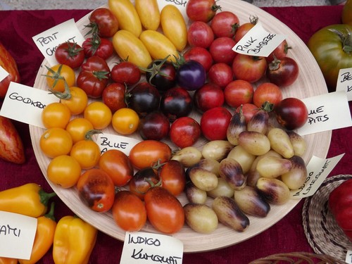 Bunte tomaten samen mischung - bunte,