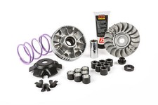 Variomatik Malossi MHR Team 2