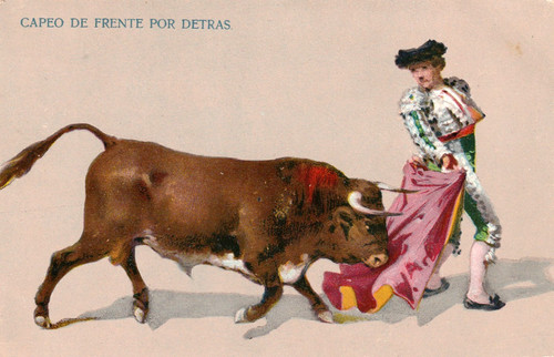Stierkampf spanien - in,