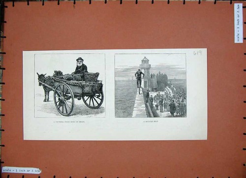 Alter antiker druck 1887 - alter,