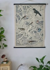 VINTAGE | SCHULWANDKARTE GEFIEDERTE WINTERGÄSTE VÖGEL| EDUCATIONAL SCHOOL CHART