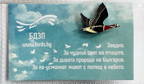 Rotbrustgans bulgarische karte - rotbrustgans,