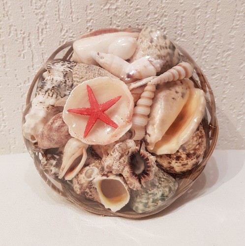 Muschelkörbchen 500g - muschelkörbchen, ca.