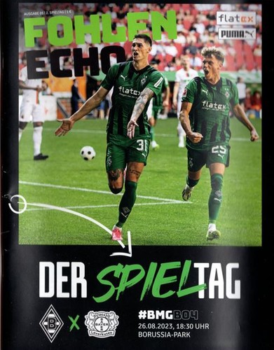 Fohlen echo borussia - fohlen, echo-borussia