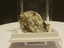 gediegen Silber mit Rammelsbergit ( Schlema, Erzgebirge)