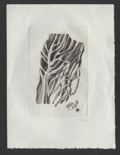 188 exlibris ex - s2)nr.188,exlibris,,